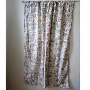 One Curtain 60x43" Disney Poohs Day In Park 5173